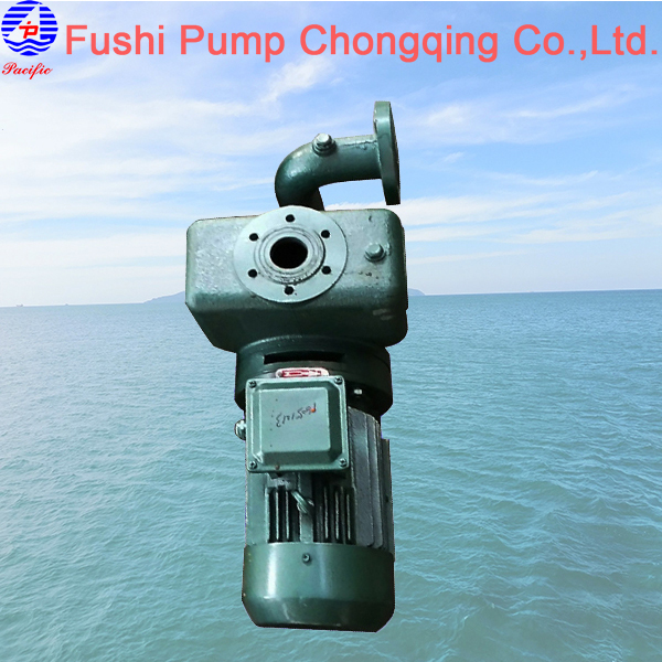 CWX Marine Vertical Self-priming Domestic Water Pump.jpg